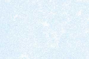 Parchment Blue Text