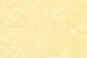 Parchment Ochre Text