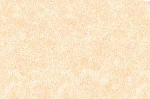 Parchment Apricot Text