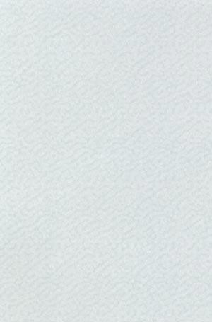 Vellum Accent Patterned - Shimmer