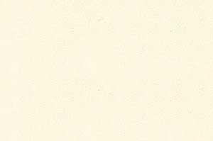 Parchment Vellum Cover
