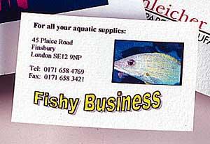 Photogloss White Colour Inkjet Business Cards