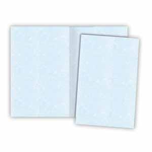 Brochure Plus 2 Panel Blue Parchment