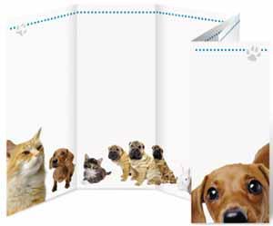 Animal Clinic Brochure Plus