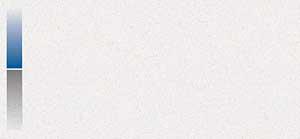 Vision Compliment Slip