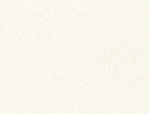 Plain Cream Note Cards