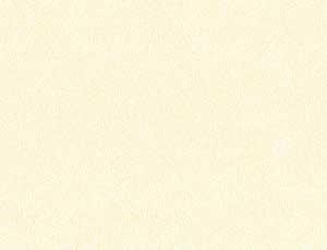 Almond Cream Note Cards