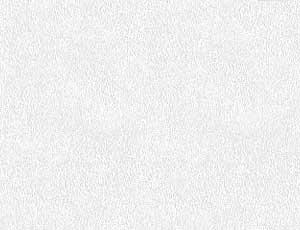 Willow White Note Cards