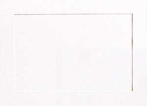 Dignity Reception Cards Only White