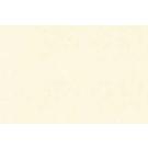 Parchment Vellum Text