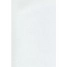 Vellum Accent Translucent Clear