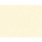 Almond Cream Note Cards