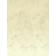 Tuscany Olympic Ivory Text