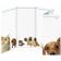 Animal Clinic Brochure Plus