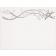 Silver Star Foil Certificate